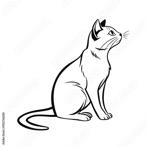 Vector illustration of a sitting cat