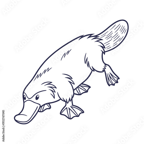 Vector platypus illustration