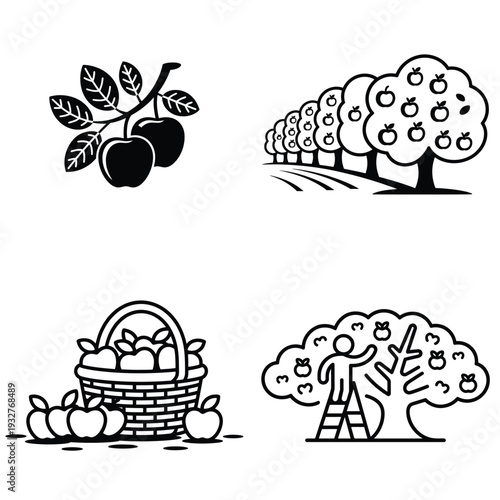 Apple harvest and orchard farming line icon set