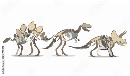 Dinosaur Skeleton Vector Set with Stegosaurus Tyrannosaurus and Triceratops Fossils Isolated on White