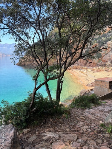 Crique paradisiaque en Corse