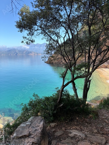 Crique paradisiaque en Corse