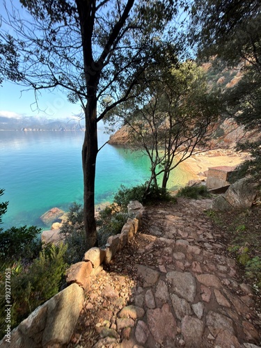 Crique paradisiaque en Corse