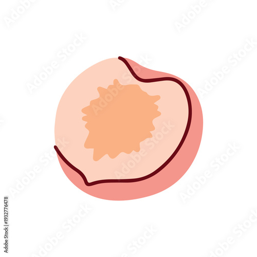 Halved ripe peach without pit showing soft pulp and skin for fruit shop branding and healthy eating educational materials