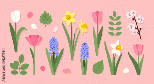 A colorful illustration of various flowers on a pink background
