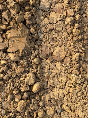 Canvastavla Macro perspective of crumbly dry brown soil with small dirt pebbles and scattered dried plant stems