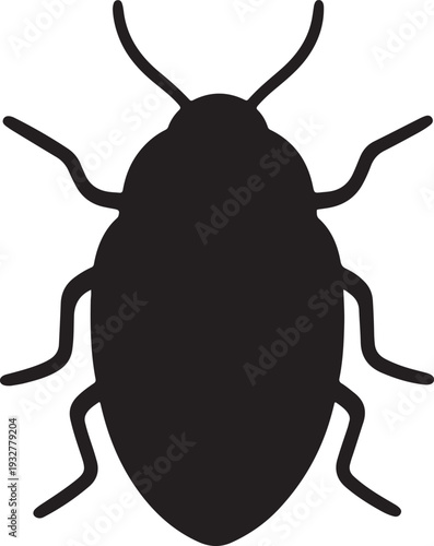 black beetle isolated on white background