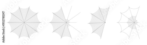 Symmetrical Spider Web Vector Illustration