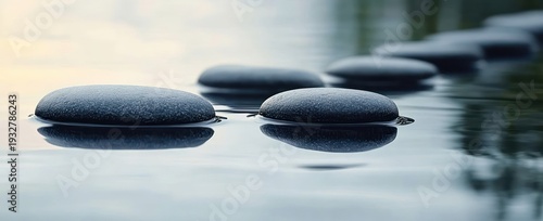 smooth round dark stones resting on calm reflective water with gentle ripples, evoking a serene tranquil meditative mood
