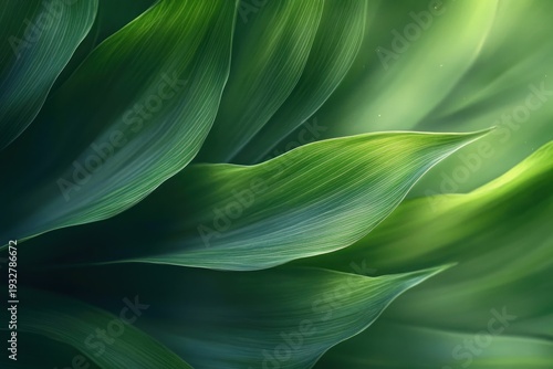 layered vibrant green leaves with delicate veins and soft glowing light conveying a serene, flowing organic texture