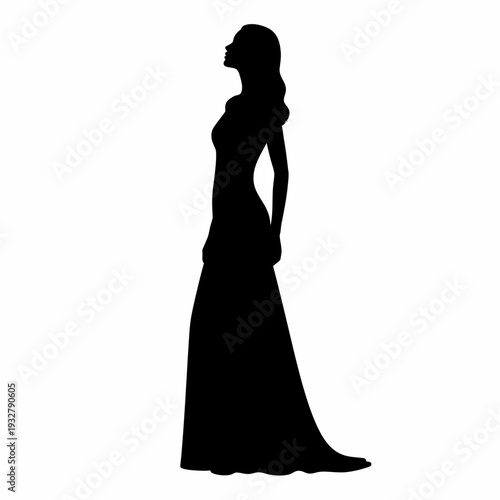 Woman in a long elegant dress silhouette.