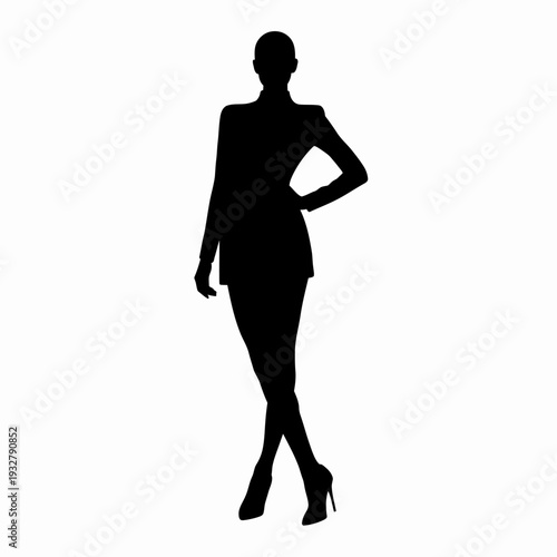 Silhouette of a Woman in Dress and Heels.