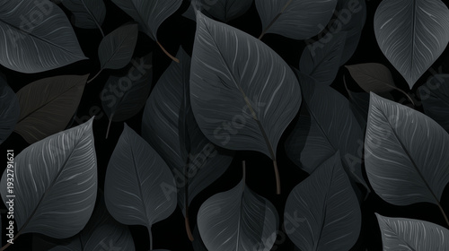 black leafes, black background, czarne liście na czarnym tle 