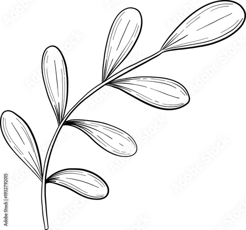 Mystical Magic Engraving Illustrations Set. Hand Drawn tattoo style sketches of crystall ball, crystals, potions, cards, herbs and candles. The theme of magic, mystery and witchcraft