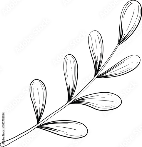 Mystical Magic Engraving Illustrations Set. Hand Drawn tattoo style sketches of crystall ball, crystals, potions, cards, herbs and candles. The theme of magic, mystery and witchcraft