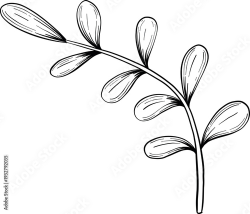 Mystical Magic Engraving Illustrations Set. Hand Drawn tattoo style sketches of crystall ball, crystals, potions, cards, herbs and candles. The theme of magic, mystery and witchcraft