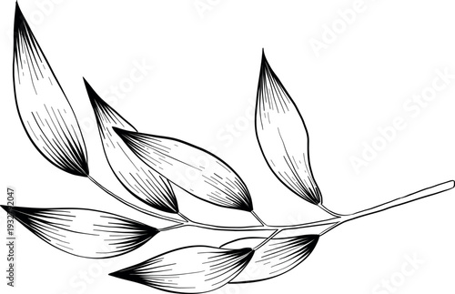 Mystical Magic Engraving Illustrations Set. Hand Drawn tattoo style sketches of crystall ball, crystals, potions, cards, herbs and candles. The theme of magic, mystery and witchcraft