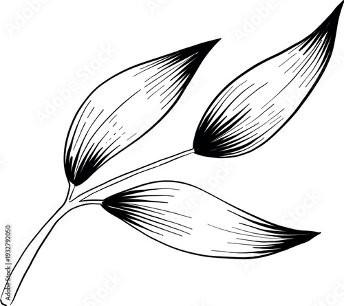 Mystical Magic Engraving Illustrations Set. Hand Drawn tattoo style sketches of crystall ball, crystals, potions, cards, herbs and candles. The theme of magic, mystery and witchcraft