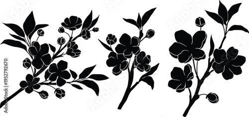 Black cherry blossom silhouette set isolated on transparent background vectors