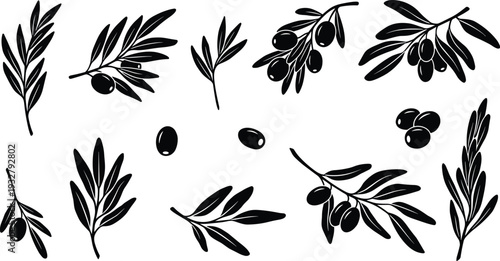 Olive branches and fruits silhouettes set for natural product organic packaging