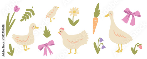 Farm poultry bird illustration set with spring elements