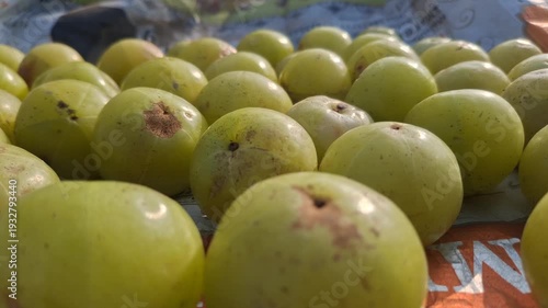 Indian gooseberry, commonly called amla, is a nutrient-rich green fruit valued in Ayurveda for immunity, digestion, and high vitamin C