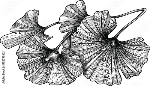 Ginkgo biloba leaves with ornate ethnic patterns and water drops in black ink