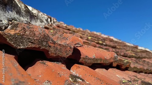 Old weathered clay roof tiles close-up under blue sky, rustic architecture texture background