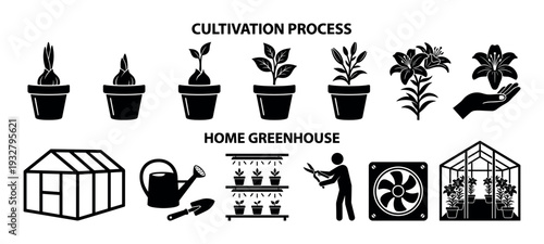 Set of black silhouette gardening icons showing the cultivation process of a flower and home greenhouse equipment, isolated on a white background for horticulture infographics