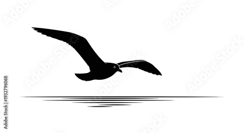 Silhouette of a soaring bird against a bright white background minimal style