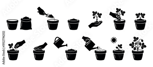 Set of black silhouette icons showing the step-by-step process of planting and growing a strawberry plant in a pot, from soil and seed to a fruiting bush, isolated on white background