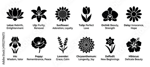 Collection of black flower icons with their symbolic meanings, including lotus, lily, and sunflower, presented as a minimalist infographic guide isolated on a white background