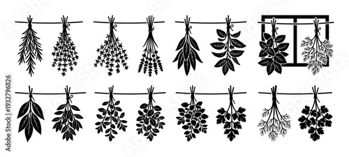 Black silhouette icons of dried herb bundles hanging on a rope to dry, a vector illustration set of various culinary plants for seasoning and aromatherapy isolated on white