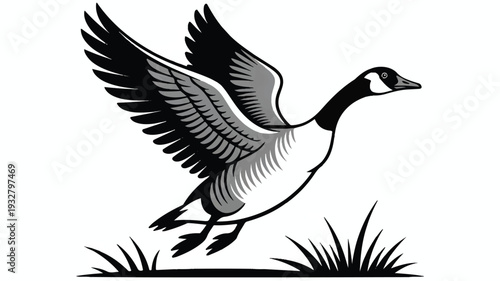 A black and white illustration of a Canada goose in flight, rendered in a woodcut or linocut print style (3)_traced