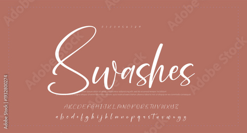 Script signature alphabet, elegant flowing letters, stylish cursive font for graceful branding, romantic headline, handwritten typography, timeless typographic design. Vector typeset