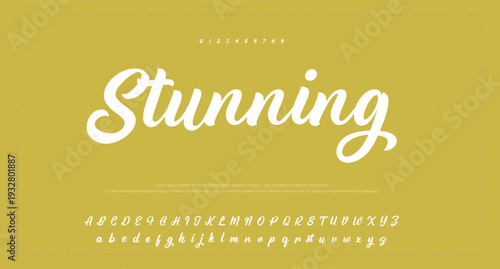 Elegant Script Font Alphabet Typography 