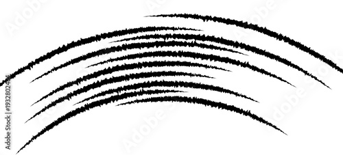 Dynamic Black Ink Brush Strokes and Hand Drawn Swoosh Motion Lines on White Background