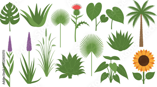 Collection of tropical green plant leaves and floral elements including palm monstera sunflower lavender thistle and aloe vera vector illustration