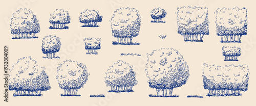 Tree, garden hedge sketch blue ink pen set. Shrubbery for a garden or whimsical park illustration. Shrub and tree topiary as a boxwood. Vintage vector plant and grass illustration isolated on beige.
