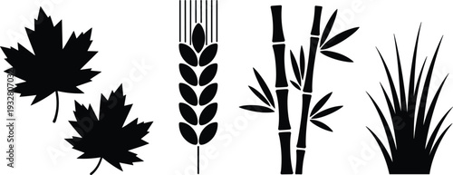 Black maple leaves, wheat ear, bamboo stalks, and grass silhouettes set isolated on white background for nature, agriculture, and botanical design concept