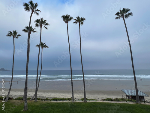 Breathtaking scenic and landscape view of coastline of Californian OC landscape scenery with vegetation and cliffs and beautiful bays overlooking ocean and coast in California on sunny day blue sky