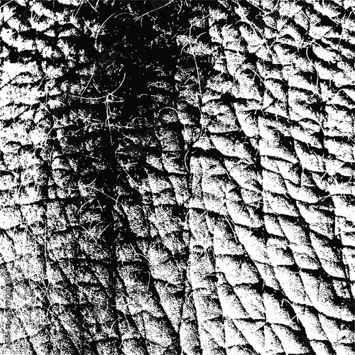 Distressed overlay texture of cracked reptile leather. grunge background. abstract halftone vector illustration transparent background