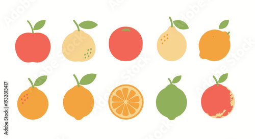 A vibrant illustration of various fruits arranged neatly on a plain background