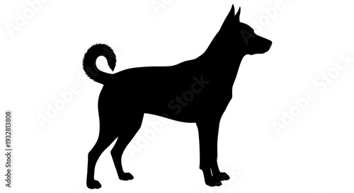 Black silhouette of a standing dog.