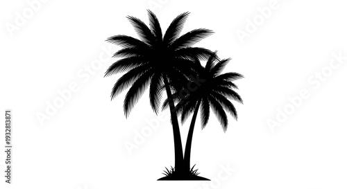 Silhouette of two palm trees standing.