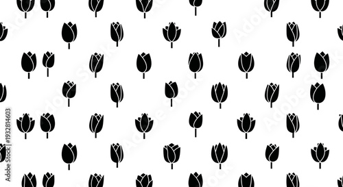 Black Tulips on White Background.