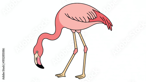 A simple illustration of a pink flamingo in a side view position (1)_traced