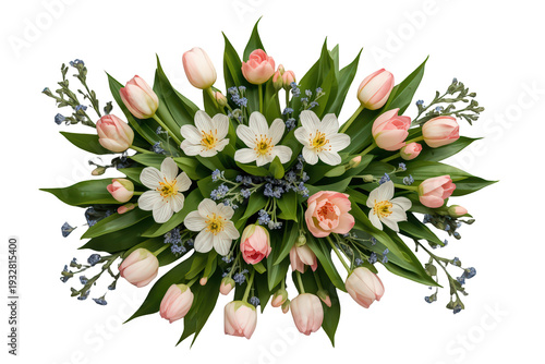 Spring bouquet of delicate pink tulip flowers, white anemones, and small blue forget-me-nots with green leaves, transparent background