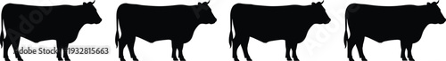 Black cow silhouettes set isolated on white background, cattle livestock icons for farm agriculture design, dairy beef branding, vector illustration collection commercial use