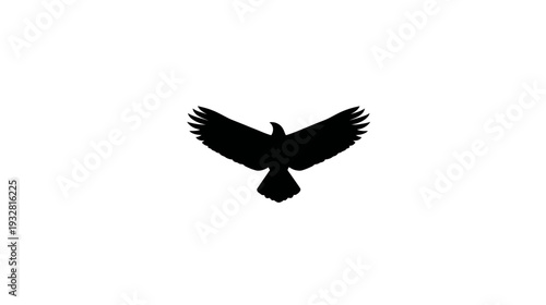 Minimalist black bird silhouette flying with outstretched wings on a clean white background, symbolic design element